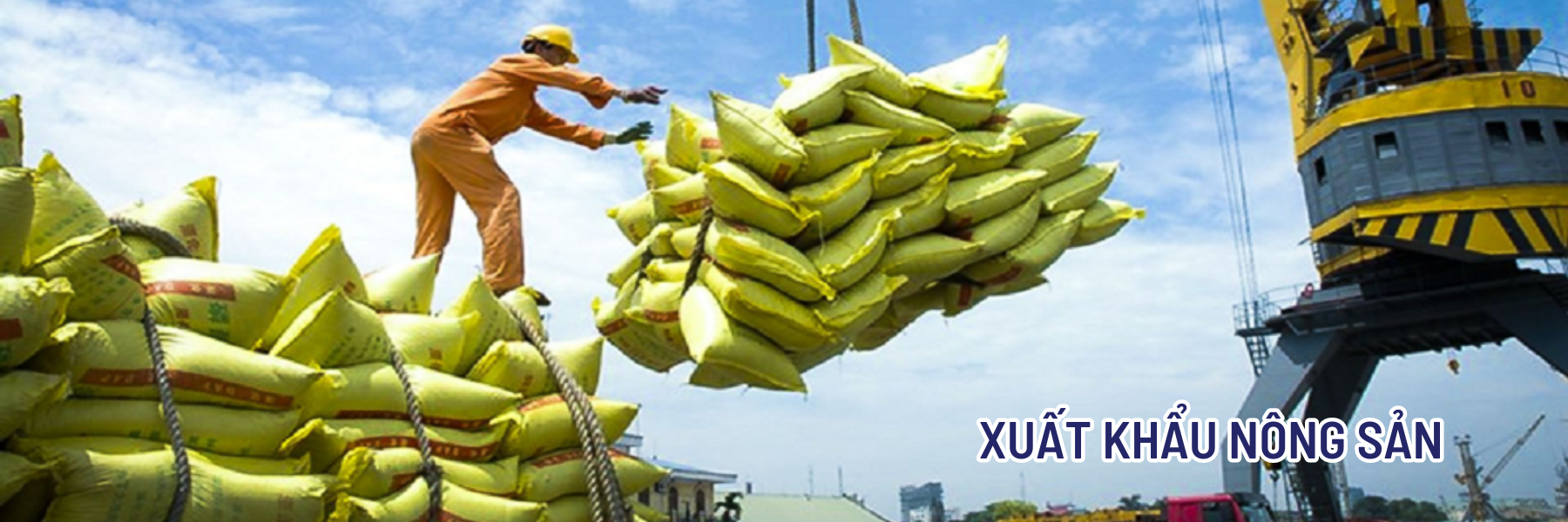 XUẤT KHẨU NÔNG SẢN